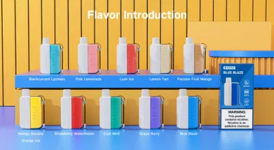 オンライン ショッピングの使い捨てポッド Ecig の新しいポータブル健康的な Vape 製品